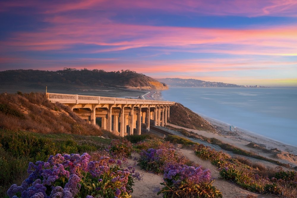 Workers’ Compensation in Torrey Pines