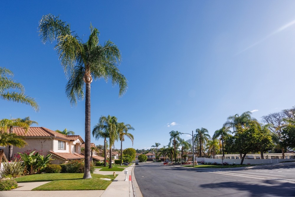 Auto Accident Attorney in Rolando, CA