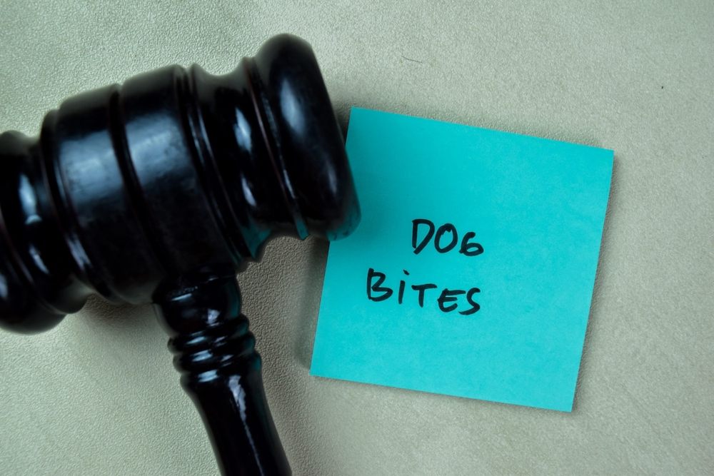 When a Dog Bite Causes Permanent Nerve Damage