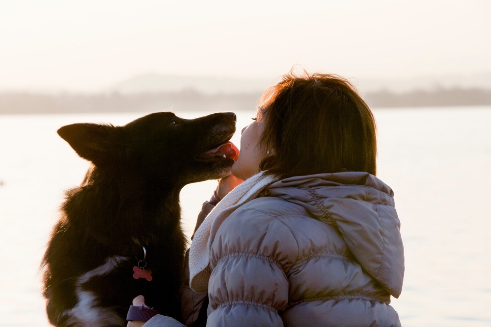 When a Dog Bite Causes Permanent Facial Scarring